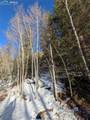 386 Brook Drive - Photo 48