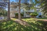 3694 Iguana Drive - Photo 21