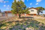 47801 Pheasant Crest Road - Photo 2