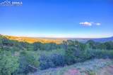 3135 Angel Terrace - Photo 8
