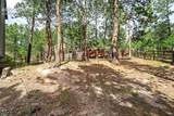 1155 Becky Drive - Photo 48