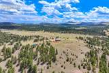 449 County Road 85 - Photo 49