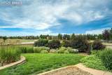 4901 Rainbow Gulch Trail - Photo 46