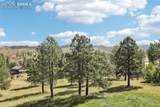 13368 Hedi Road - Photo 43
