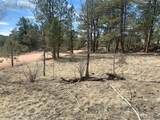 173 Crescent Drive - Photo 8