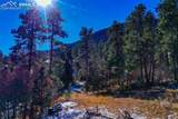 5330 Chipita Pines Drive - Photo 31
