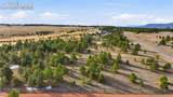 5555 Old Stagecoach Road - Photo 6