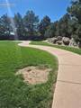 3060 Mandalay Grove - Photo 3