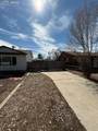 1313 Rockwood Avenue - Photo 32