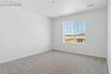 3306 Bella Notte Drive - Photo 19