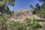 5165 Wild Rose Lane - Photo 4