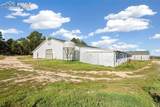 16685 Roller Coaster Road - Photo 47