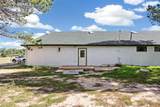 16685 Roller Coaster Road - Photo 49