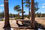 4340 Foxchase Way - Photo 45