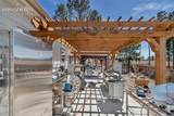 13080 Ravine Drive - Photo 8