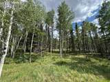 117 Vagabond Creek Terrace - Photo 4