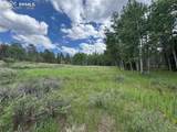 117 Vagabond Creek Terrace - Photo 8
