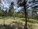 117 Vagabond Creek Terrace - Photo 9