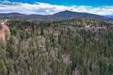 2747 County Road 61 - Photo 38