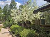 15975 Winding Trail Road - Photo 47