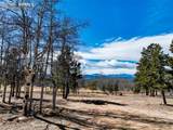 1874 Vagabond Creek Drive - Photo 41