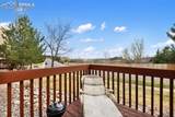 2039 Bristlecone Drive - Photo 13
