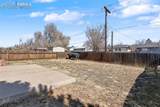 2385 Spring Blossom Drive - Photo 20