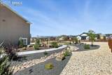 10088 Bison Valley Trail - Photo 39