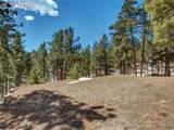 204 Spruce Drive - Photo 42