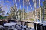 8660 Chipita Park Road - Photo 24