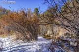 8660 Chipita Park Road - Photo 41