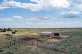 14335 Whistling Hills Lane - Photo 83