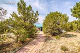 6135 County Road 15 - Photo 42
