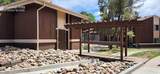4481 Carefree Circle - Photo 13