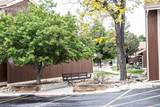 4481 Carefree Circle - Photo 9