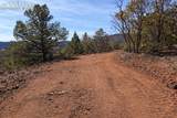 3929 Autumn Creek Drive - Photo 24
