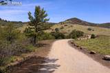 3929 Autumn Creek Drive - Photo 37