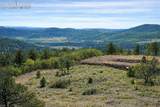 3929 Autumn Creek Drive - Photo 4