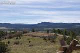 3929 Autumn Creek Drive - Photo 48