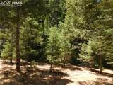 13175 Spruce Creek Circle - Photo 4