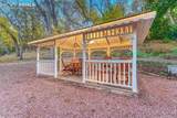 735 Bear Paw Lane - Photo 46