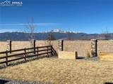 8442 Noreen Falls Drive - Photo 23