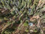 10155 Mountain Road - Photo 40