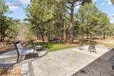 11165 Pine Meadows Road - Photo 28
