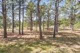 11165 Pine Meadows Road - Photo 29