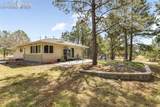 11165 Pine Meadows Road - Photo 33