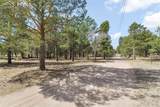 11165 Pine Meadows Road - Photo 43
