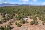 11165 Pine Meadows Road - Photo 46