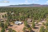11165 Pine Meadows Road - Photo 47