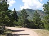 Lot 9 Thunderbird Road - Photo 8